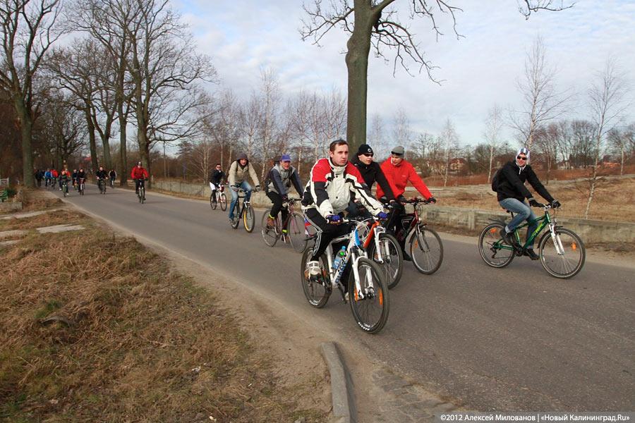 «Триста спартанцев»: репортаж «Нового Калининграда.Ru»