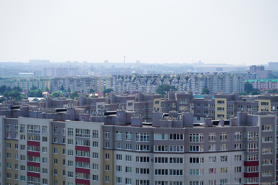 Фото: Виталий Невар / Новый Калининград