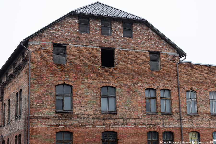 Постапокалиптический пейзаж: что происходит с территорией бывшего ЦБЗ-1 (фото)