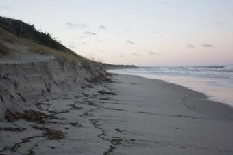 Турзона на Куршской косе не привлекла ни одного инвестора