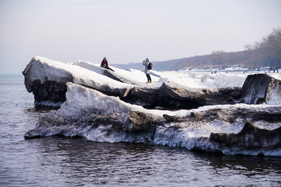 В Калининградской области массово гуляют по морскому льду, несмотря на запрет МЧС (фото)