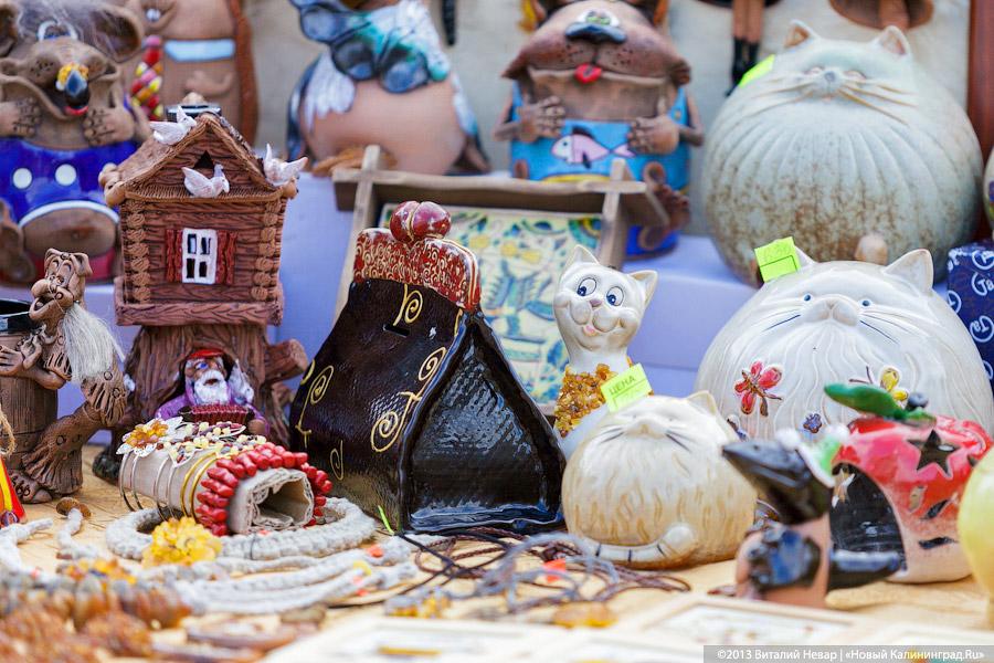 Кот — друг человека: в Калининграде отметили очередной кошачий праздник