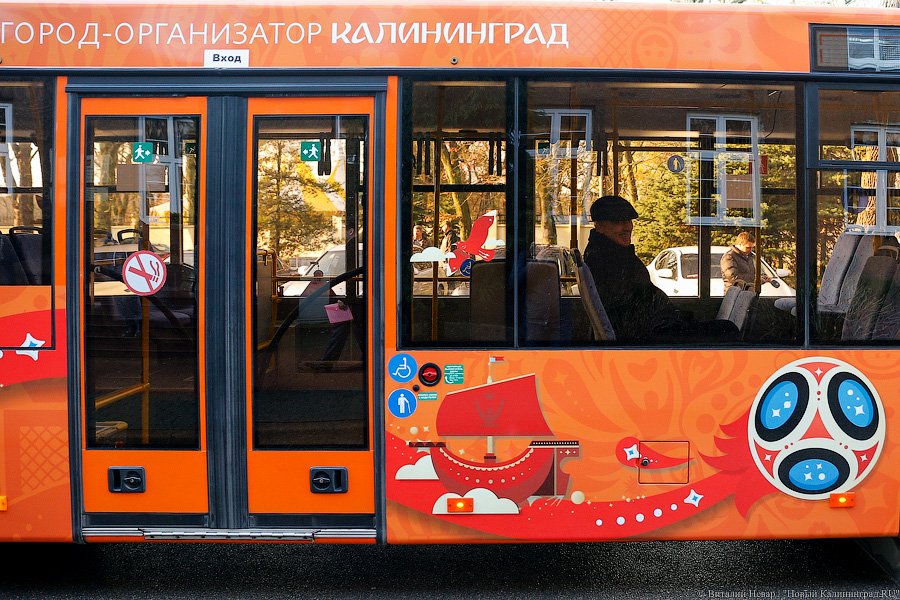Верхом на трёхглазой змее: на калининградские автобусы нанесли символику ЧМ