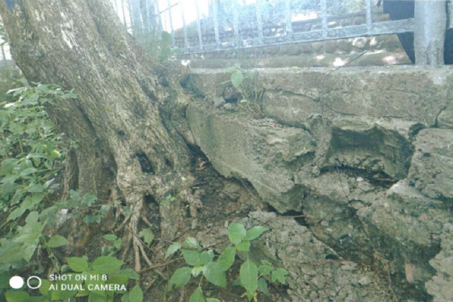 Полуаварийное состояние: в Светлогорске опять объявили торги на проект капремонта «серпантина» (фото)