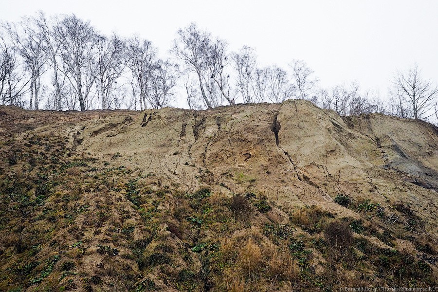  Не рассчитали силы: как выглядит будущий променад в Светлогорске (фото)