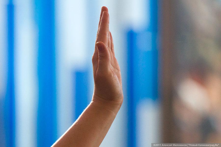 "Олень на 100%": фоторепортаж "Нового Калининграда.Ru"