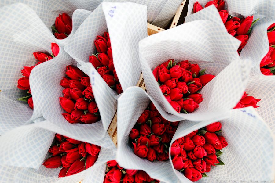 Фото — Виталий Невар, «Новый Калининград.Ru»