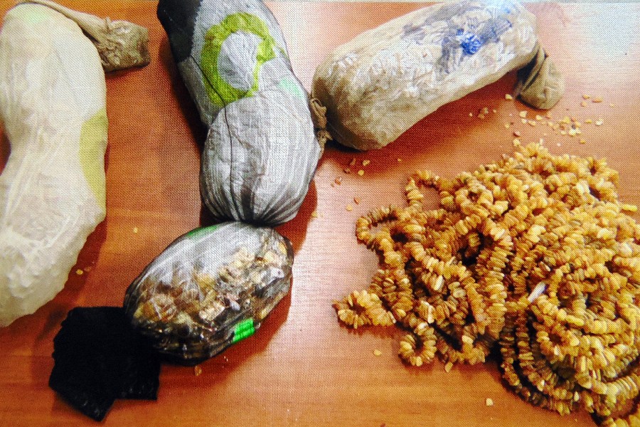 Гражданин Польши пытался вывезти из Калининградской области 12 кг янтаря