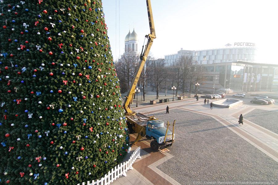"Много на ёлочке шариков цветных": фоторепортаж "Нового Калининграда.Ru"