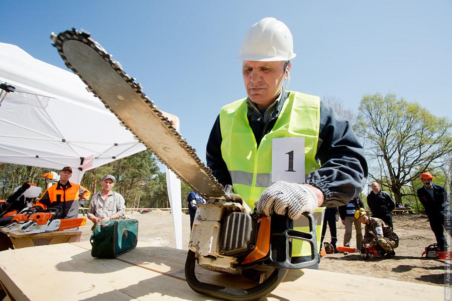 Лесной распил: как проходят соревнования лесорубов (фото)