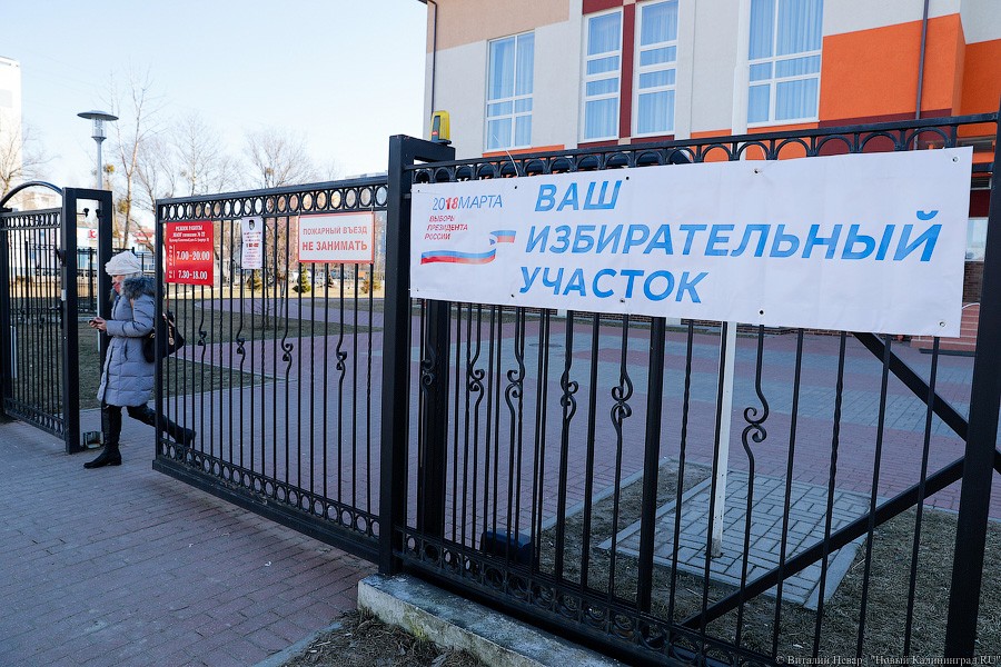 За гречку и тушёнку: как калининградцы выбирали президента России (фото)