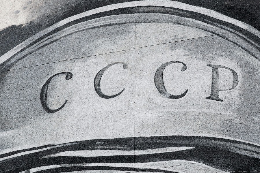Не граффити, а стрит-арт: в Калининграде нарисовали портрет космонавта Леонова