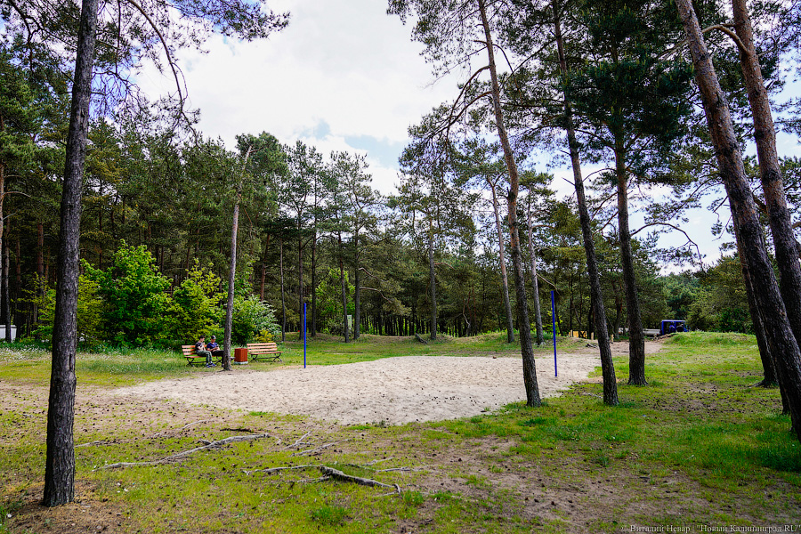 «Не врите мне»: фекалии в воде не портят отдых калининградским купальщикам (фото)