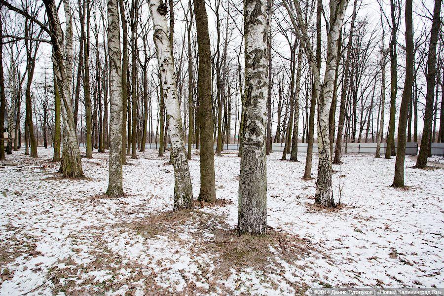 Доктор Лиза о хосписе в Калининграде: «Я в ужасе от вашего правительства»