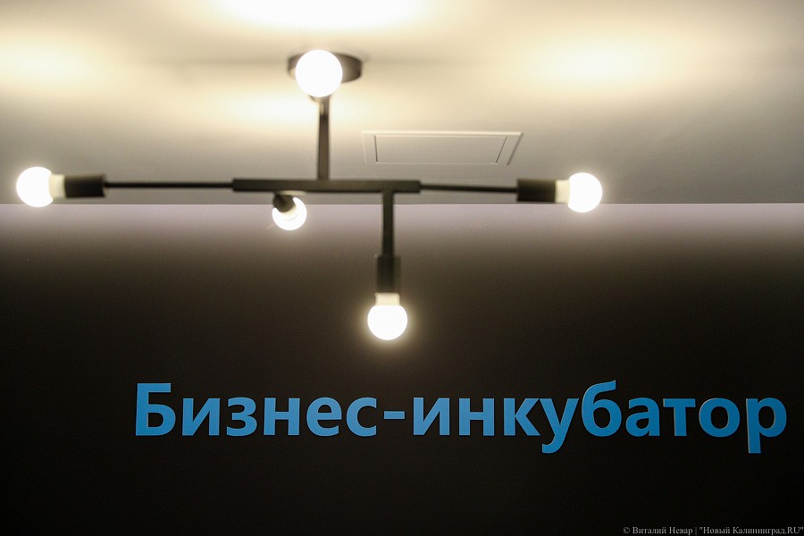 Зияющая пустота коворкингов: Алиханову показали помещения бизнес-инкубатора