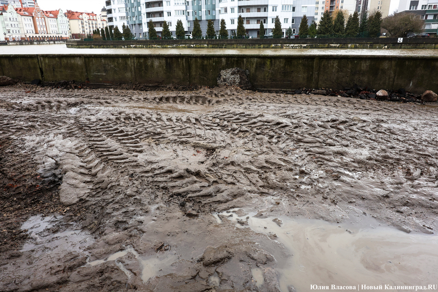 Руины Кнайпхофа: как проходит подготовка к благоустройству острова Канта (фото)