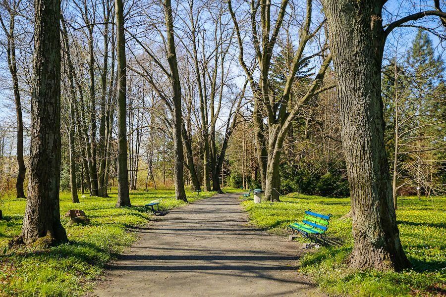 Алиханов предложил разбить рядом с Зеленоградском ботанический сад за 500 млн рублей