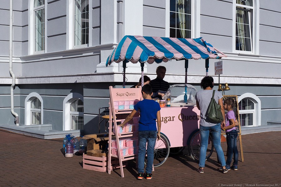 Традиционное осеннее добро: как прошел Благотворительный фестиваль шарлотки