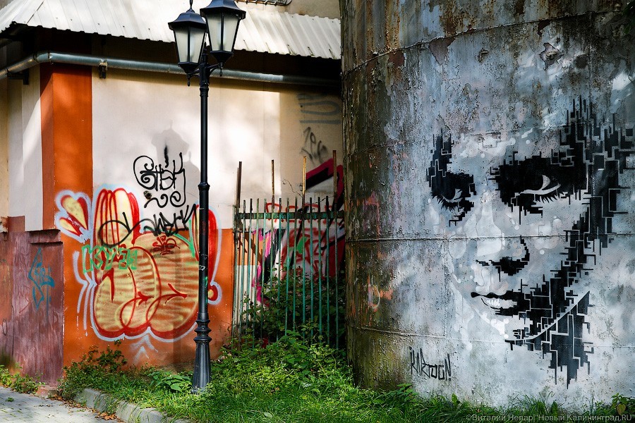 Власти Калининграда обещают не убирать граффити, которые «приобретают формат искусства»
