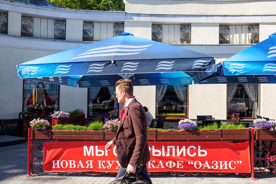 Новое место: кафе «Оазис» у зоопарка