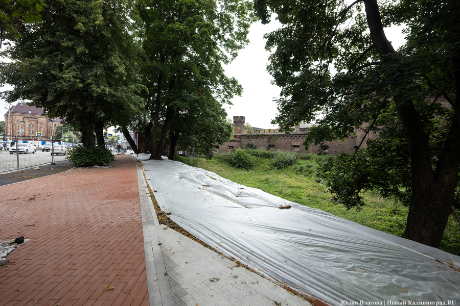 Почти готов, но дата открытия под вопросом: как сейчас выглядит Каштановый парк (фото)