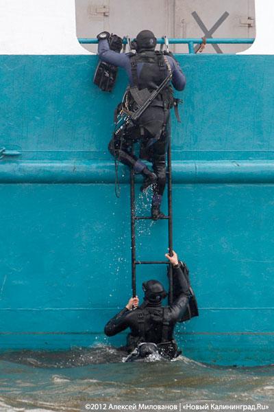 «Под флагом Башара»: фоторепортаж с антитеррористических учений