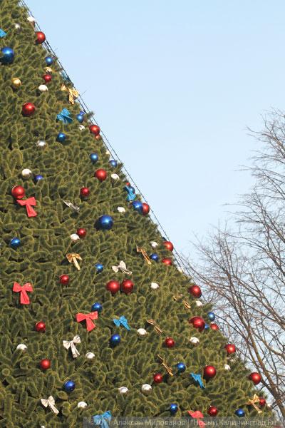 "Много на ёлочке шариков цветных": фоторепортаж "Нового Калининграда.Ru"