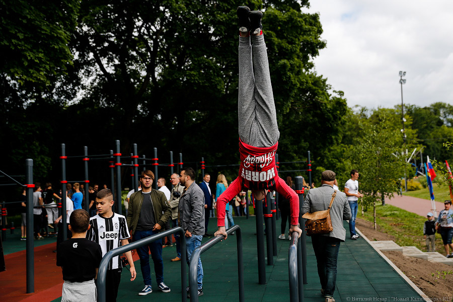 Воспитание улицей: как в Калининграде открывали площадку для воркаута