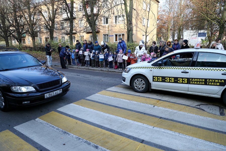 «Заметьте нас»: в Калининграде дети вышли на пикет в поддержку пешеходов 
