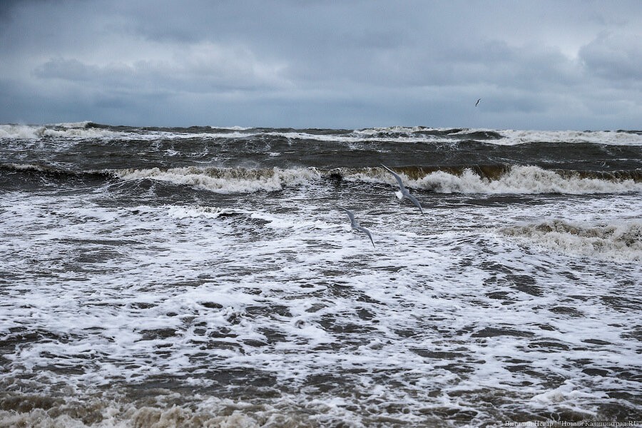 Гидрометцентр РФ: аномальное тепло с запада «накрыло» почти всю страну