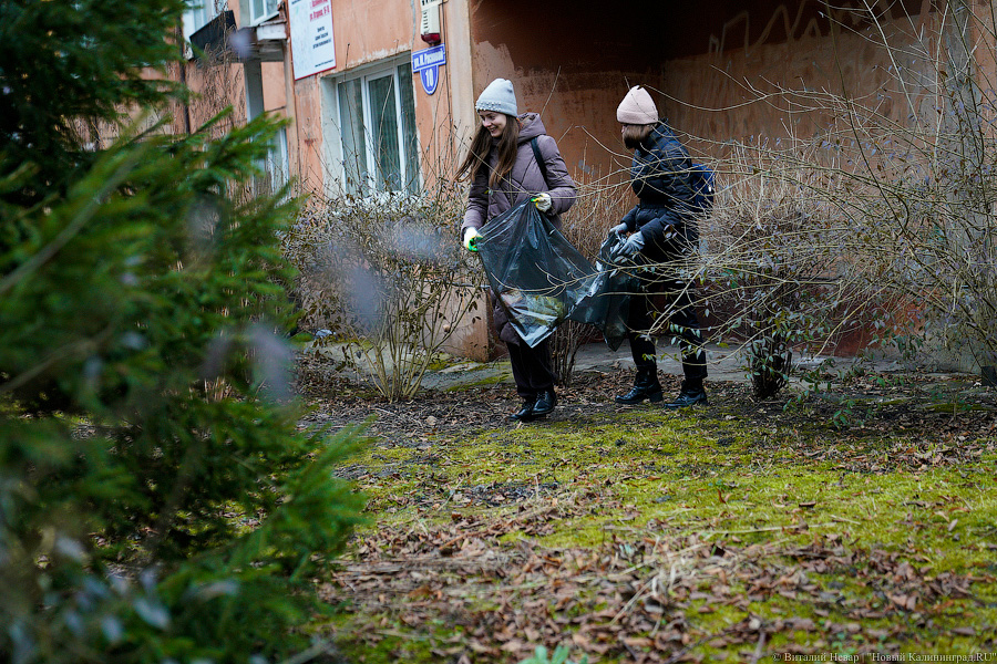Теория целых окон: волонтеры пытаются спасти здание на Расковой с помощью уборки (фото)