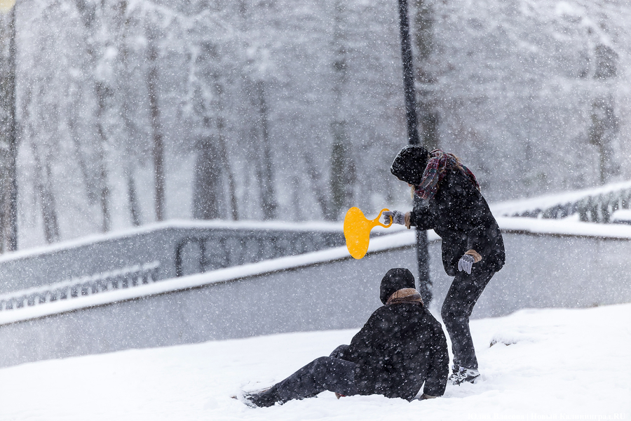 Пролетая на ватрушке: как в Центральном парке катаются с горки вопреки запретам (фото)