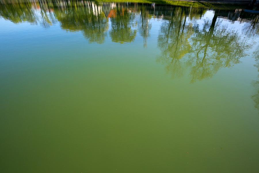 «Почти как в солярии»: чем теперь отличаются озера Верхнее и Поплавок