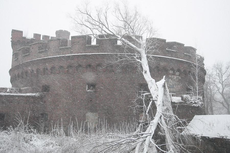 Засыпало: ураган «Ксавьер» принес в Калининград зиму