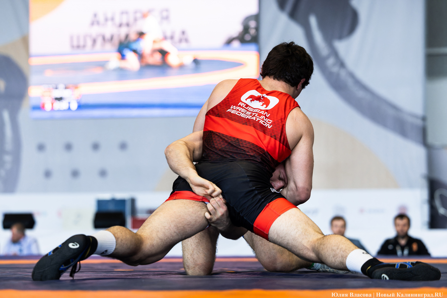 На пределе сил: в Калининграде прошел турнир по борьбе на Кубок Андрея Шумилина (фото)