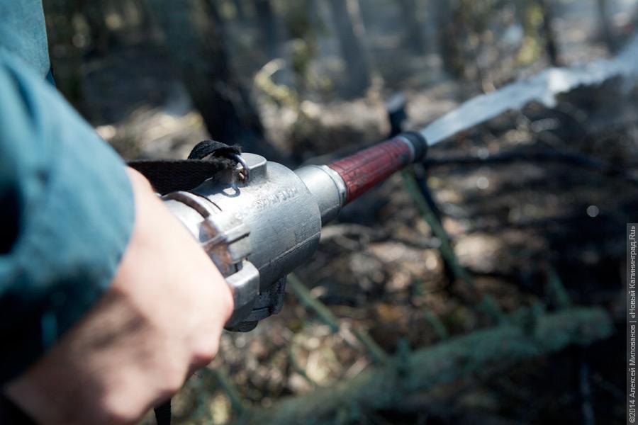 Когда рассеялся дым: после локализации лесного пожара на Куршской косе (фото)