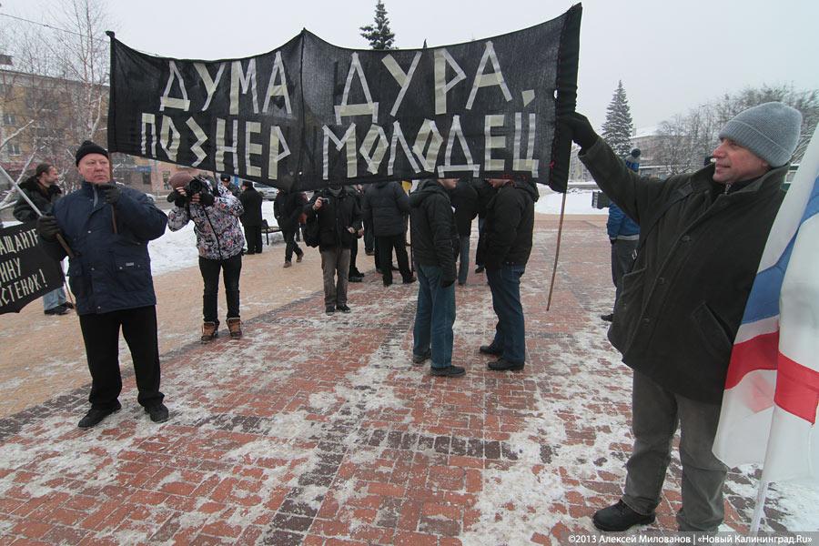 «Дура и молодец»: фоторепортаж с «альтернативного» пикета против «закона Димы Яковлева»