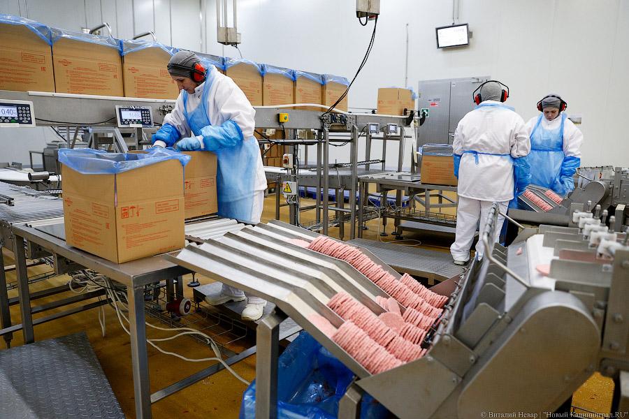 Галопом по котлетам: главе Минсельхоза РФ показали два завода в Калининграде