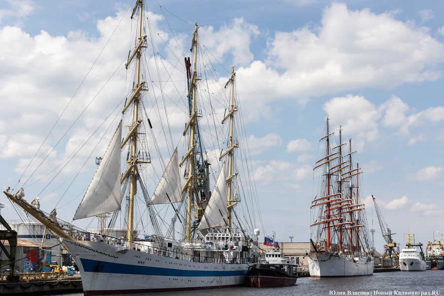 Фото: Юлия Власова / Новый Калининград