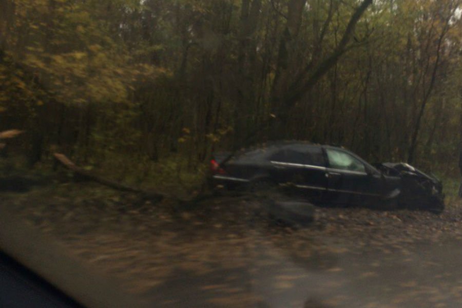 Очевидцы: на балтийской трассе «Мерседес» врезался в дерево (фото)