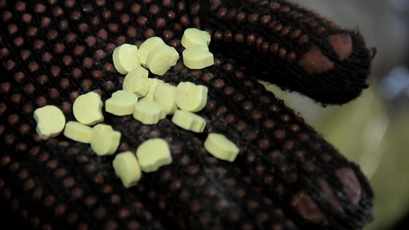 Калининградская полиция обнаружила в гараже более 15 килограммов наркотиков (фото)