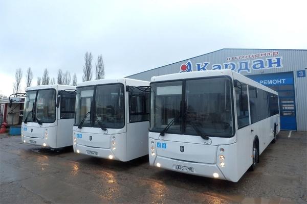 Встречайте: российские автобусы в городе Калининграде