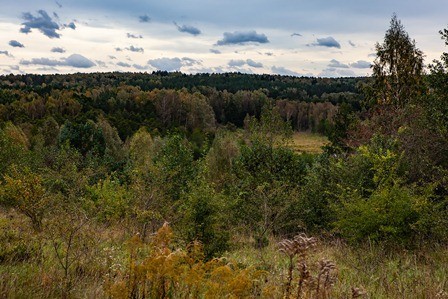 Фото — Юлия Алексеева