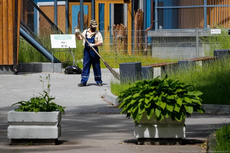В облдуме расстроились из-за нежелания безработных заниматься общественным трудом