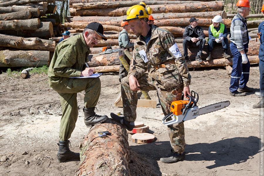 Лесной распил: как проходят соревнования лесорубов (фото)