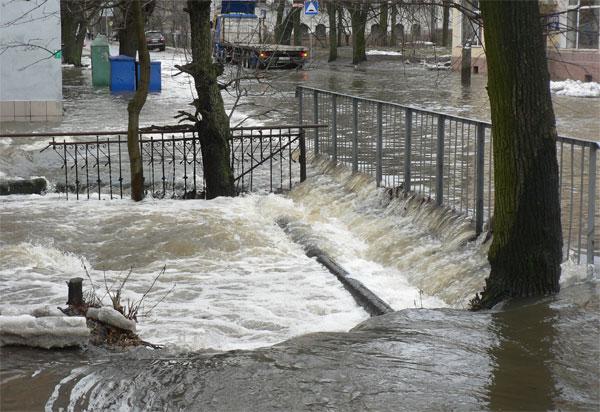 "Большая вода": фоторепортаж читателей "Нового Калининграда.Ru"