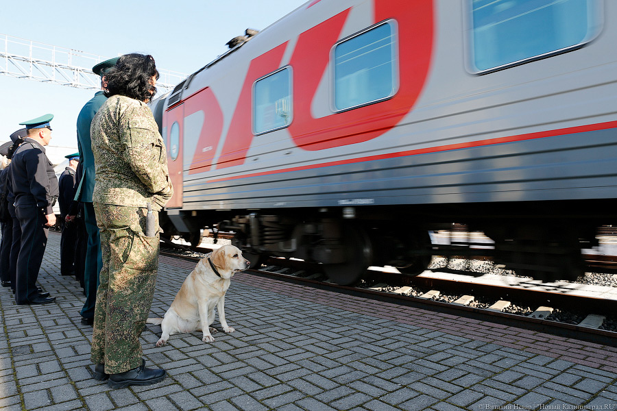 Премьер Литвы высказалась о возможности закрытия транзита в Калининградскую область