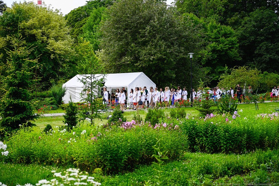 Как проходит вручение дипломов выпускникам БФУ в Ботаническом саду (фото)