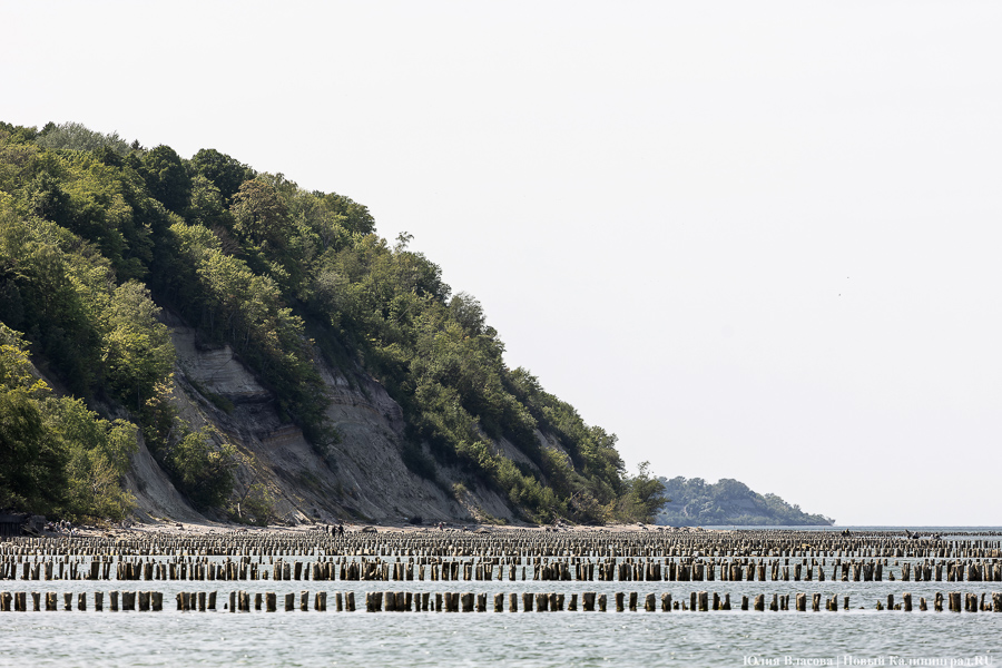 В Калининграде ожидается тёплая и облачная рабочая неделя
