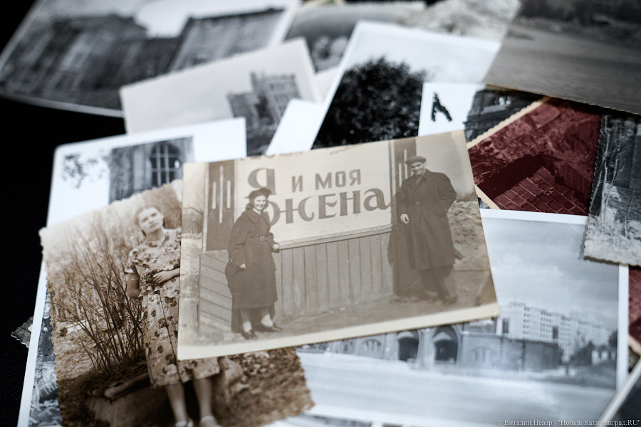 Фото: Виталий Невар / Новый Калининград